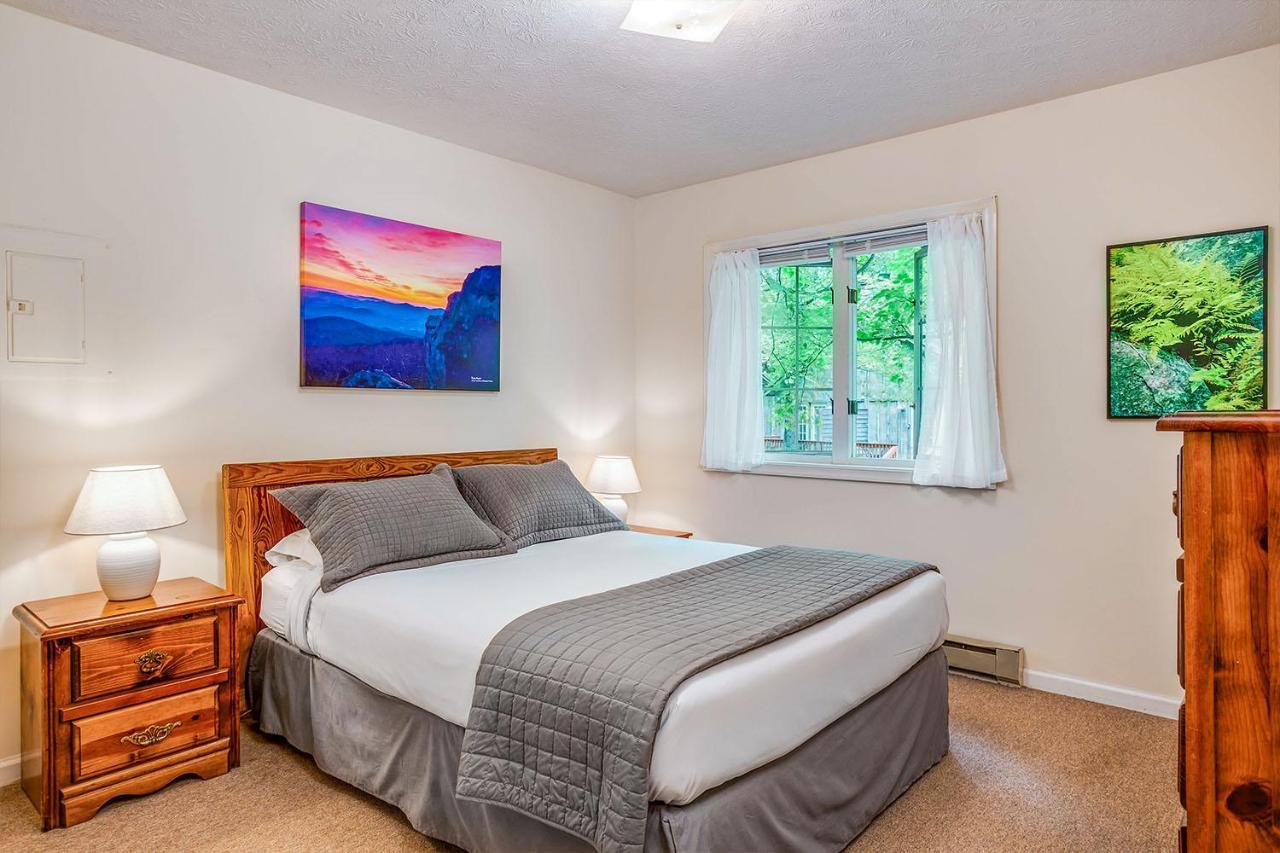 Love Ridge Mountain Lodging Lyndhurst Exteriör bild