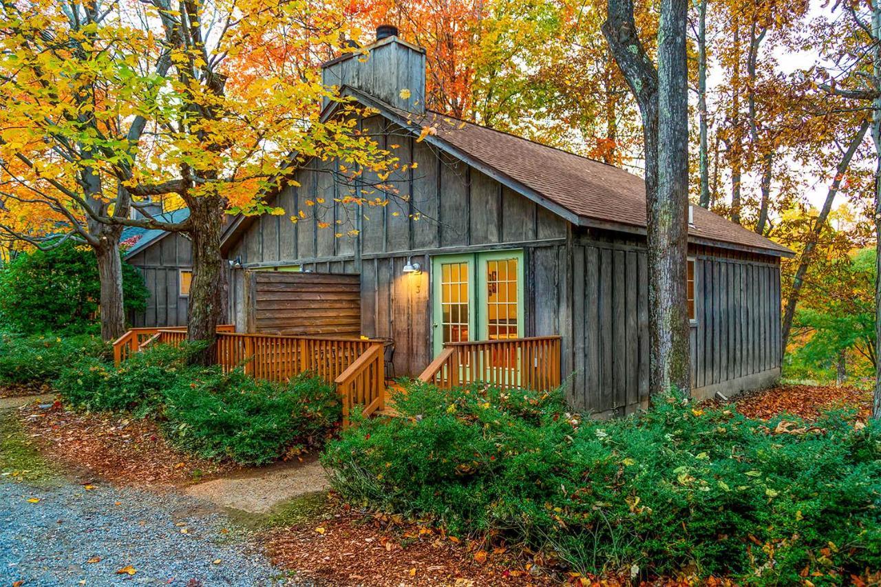 Love Ridge Mountain Lodging Lyndhurst Exteriör bild