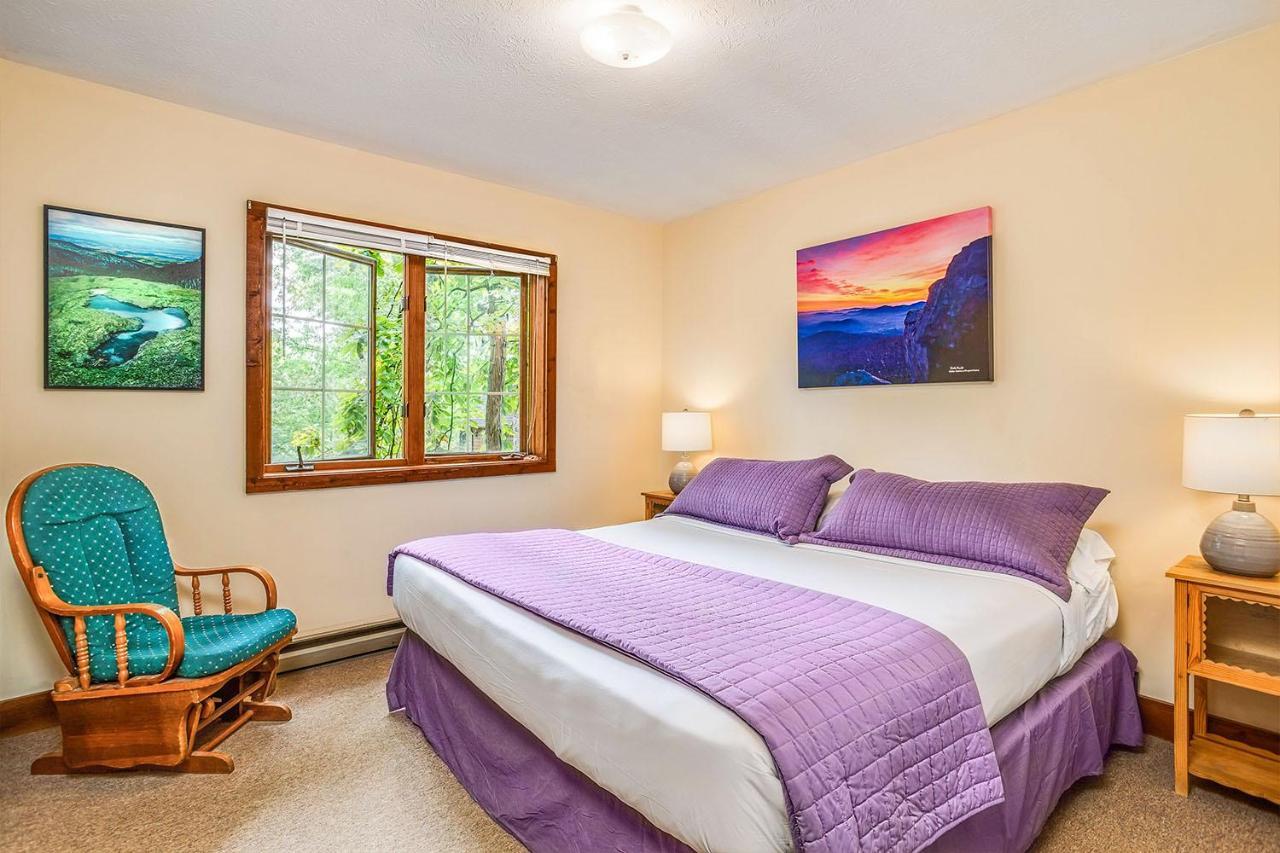 Love Ridge Mountain Lodging Lyndhurst Exteriör bild