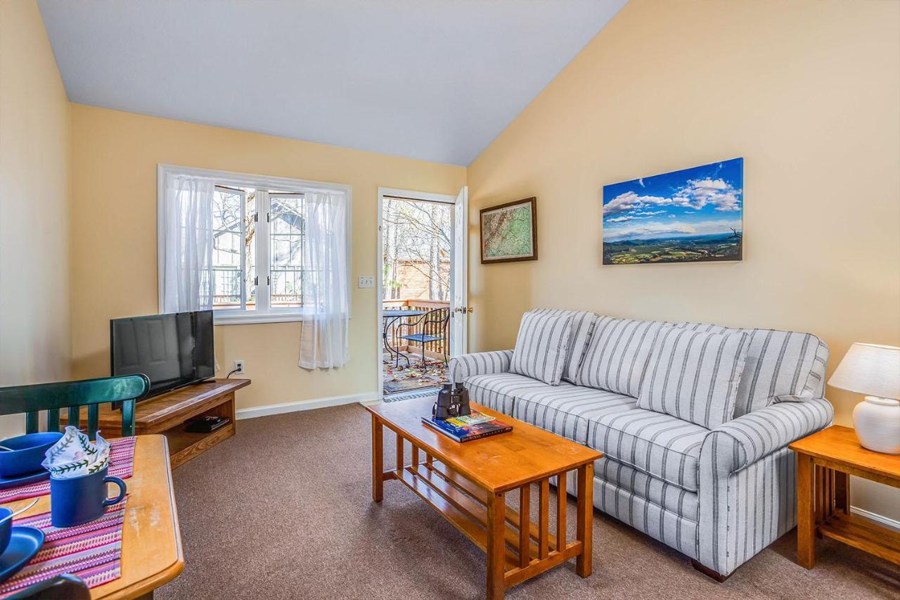 Love Ridge Mountain Lodging Lyndhurst Exteriör bild