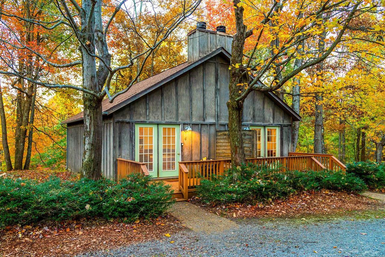 Love Ridge Mountain Lodging Lyndhurst Exteriör bild