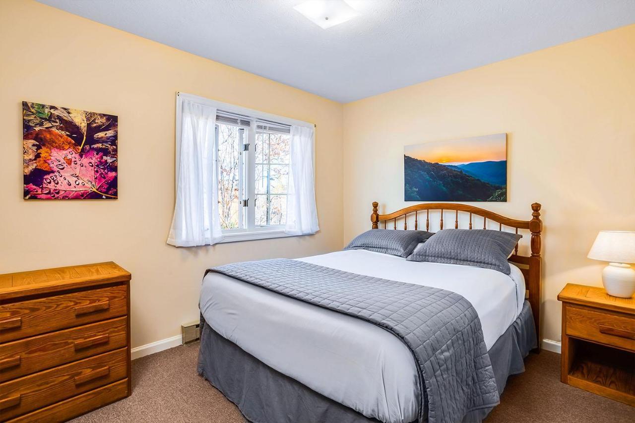 Love Ridge Mountain Lodging Lyndhurst Exteriör bild