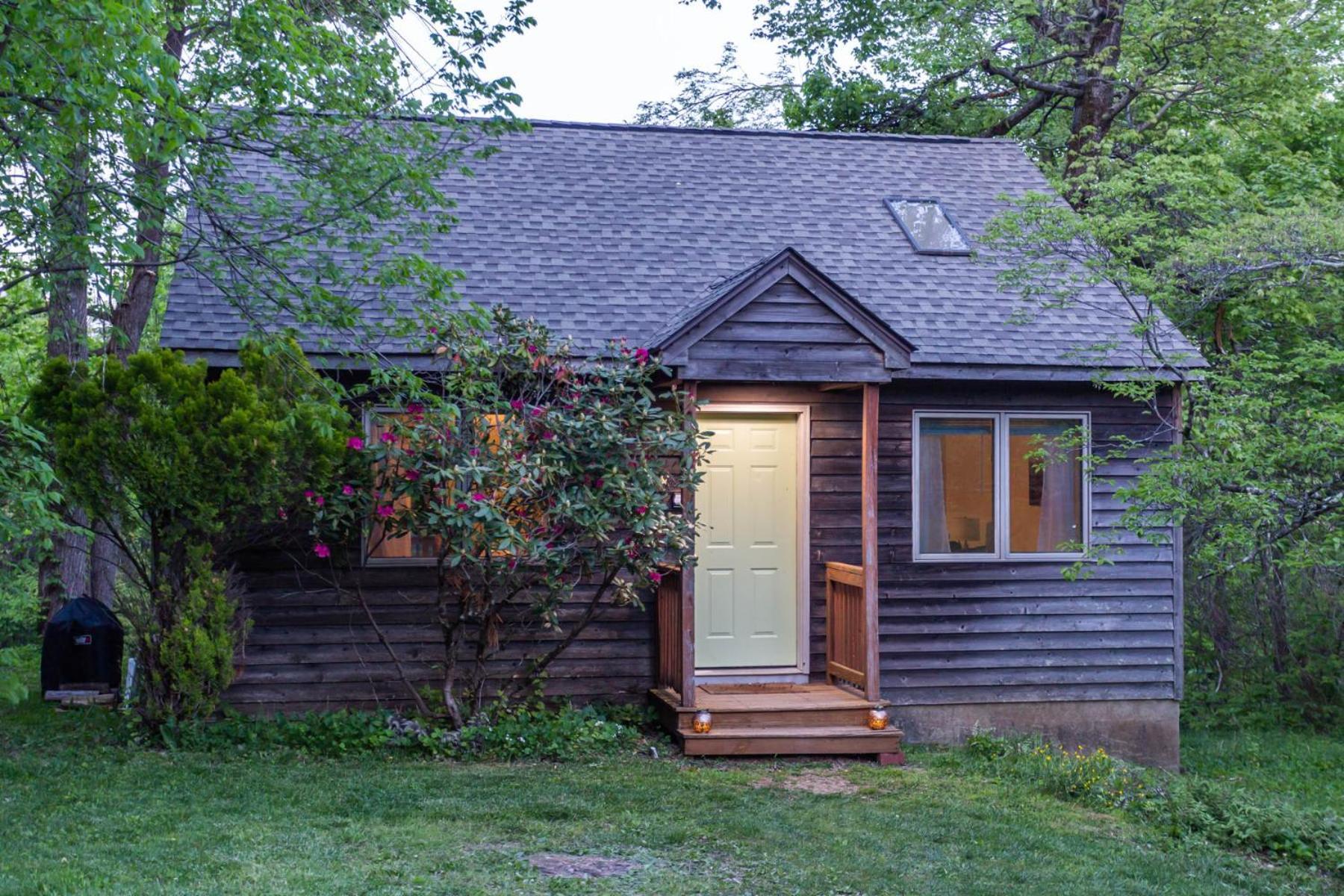 Love Ridge Mountain Lodging Lyndhurst Exteriör bild