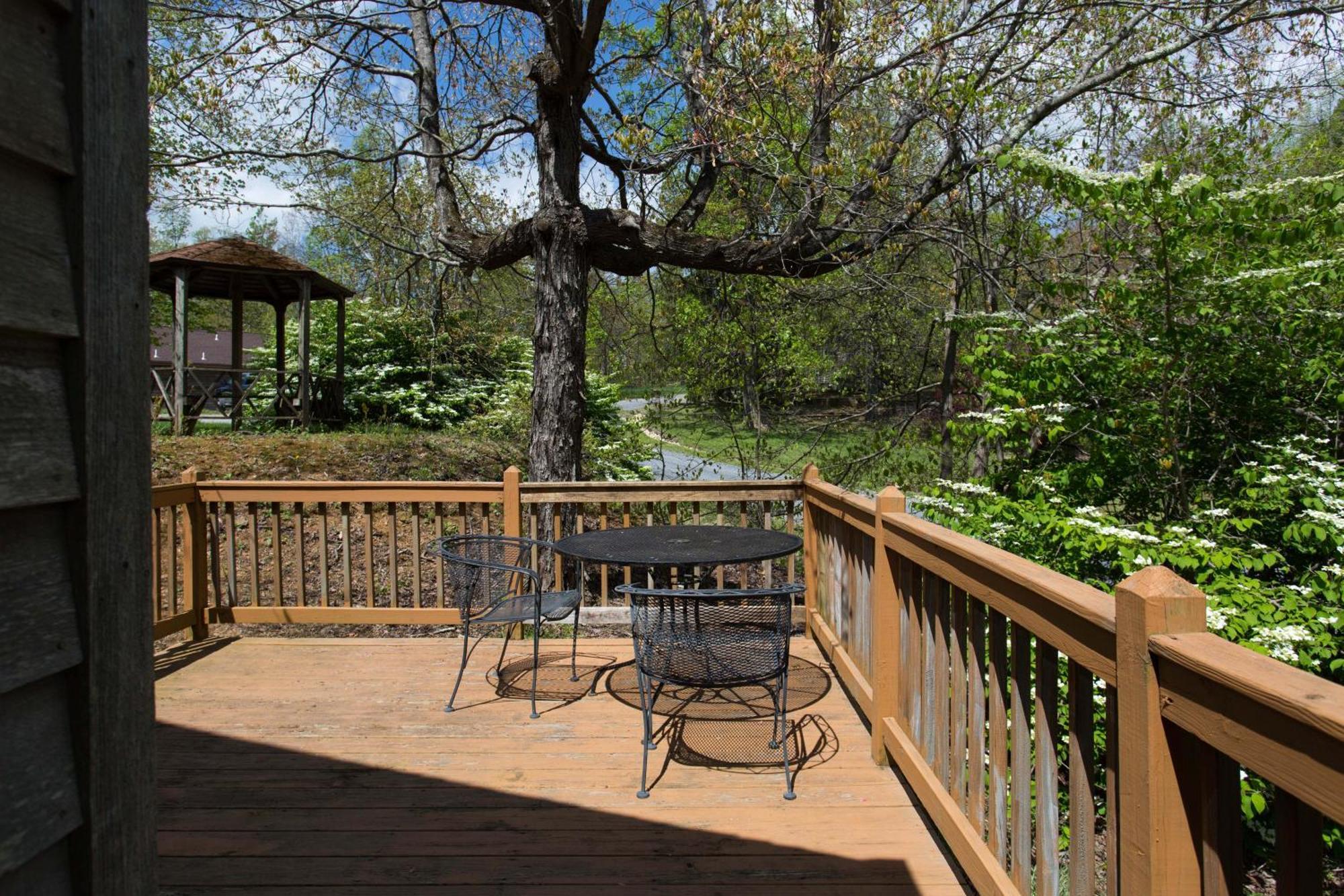 Love Ridge Mountain Lodging Lyndhurst Exteriör bild