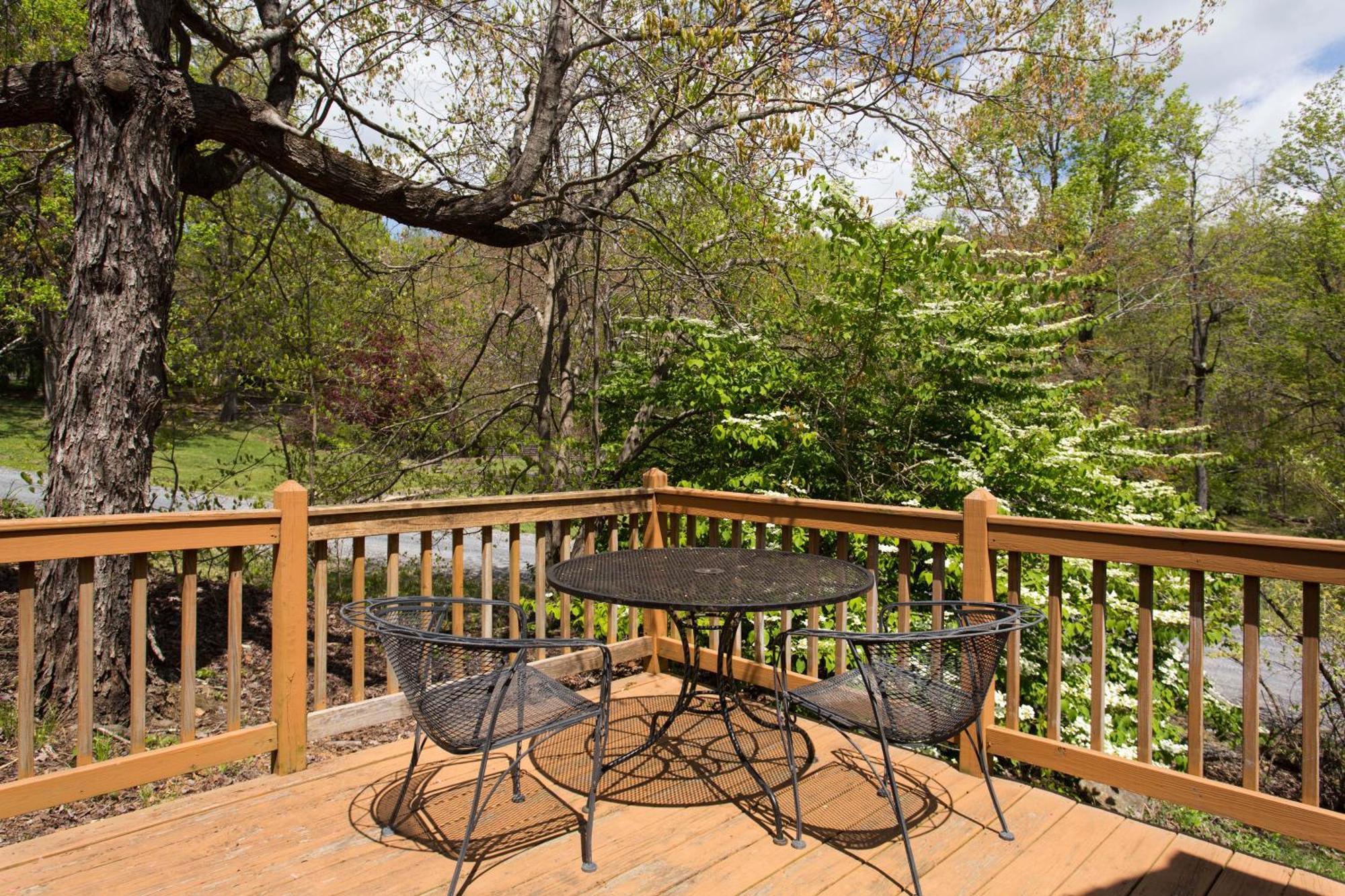 Love Ridge Mountain Lodging Lyndhurst Exteriör bild